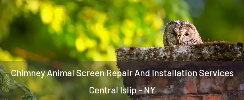  Chimney Animal Screen Repair And Installation Services Central Islip - NY