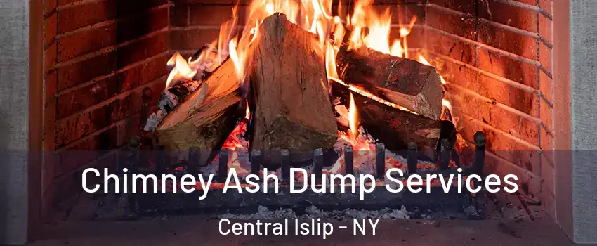  Chimney Ash Dump Services Central Islip - NY