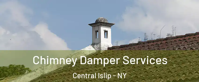  Chimney Damper Services Central Islip - NY