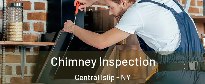  Chimney Inspection Central Islip - NY