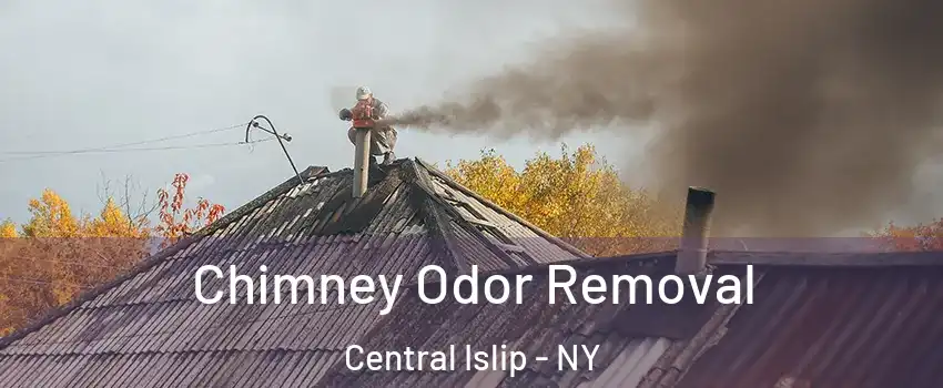  Chimney Odor Removal Central Islip - NY