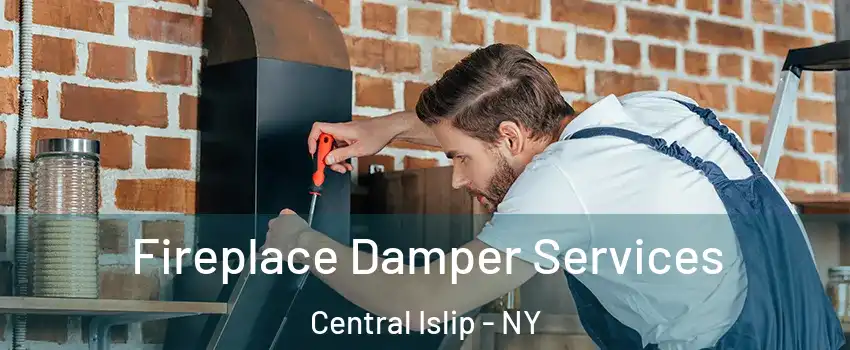  Fireplace Damper Services Central Islip - NY