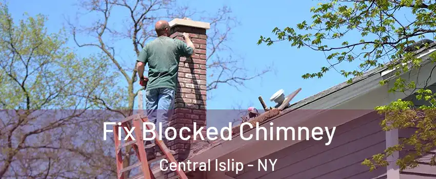  Fix Blocked Chimney Central Islip - NY