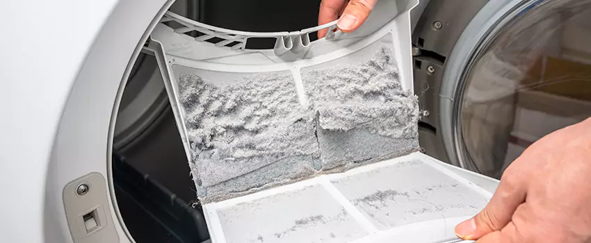 Best Dryer Lint Removal Company in Central Islip, New York