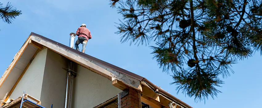 Birds Removal Contractors from Chimney in Central Islip, NY