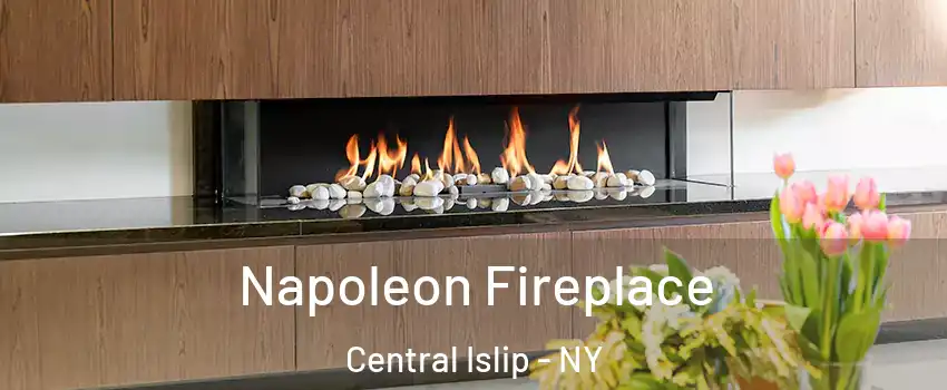  Napoleon Fireplace Central Islip - NY